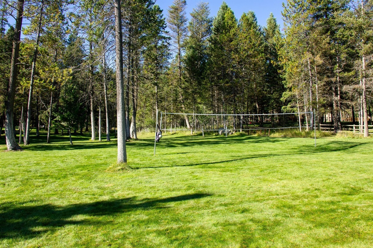 Volleyball Net