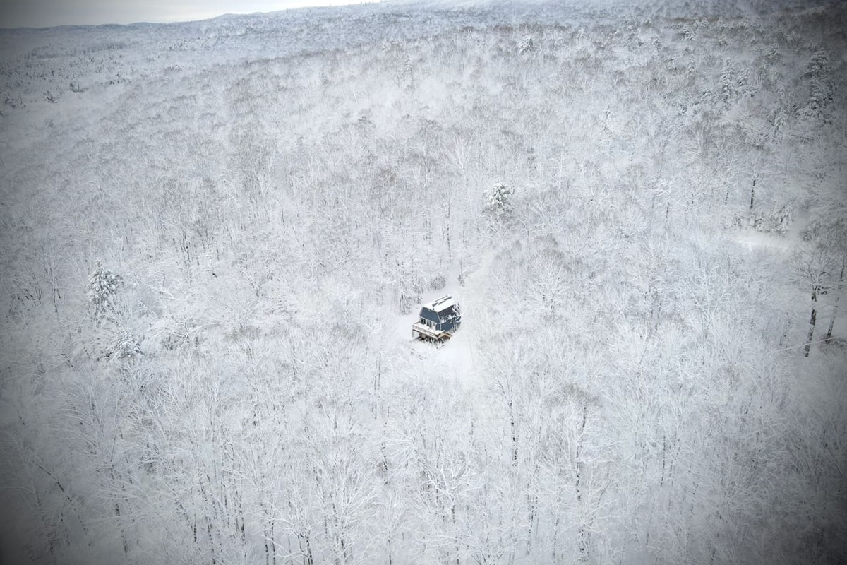 Winter Wonderland
