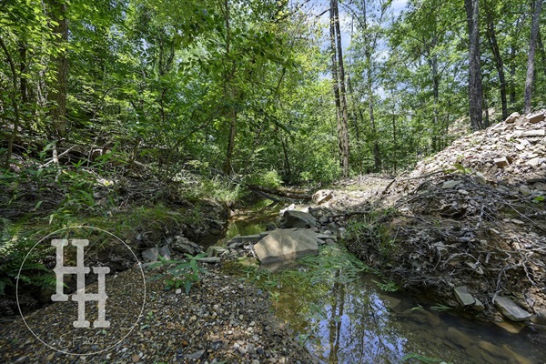 Creek view