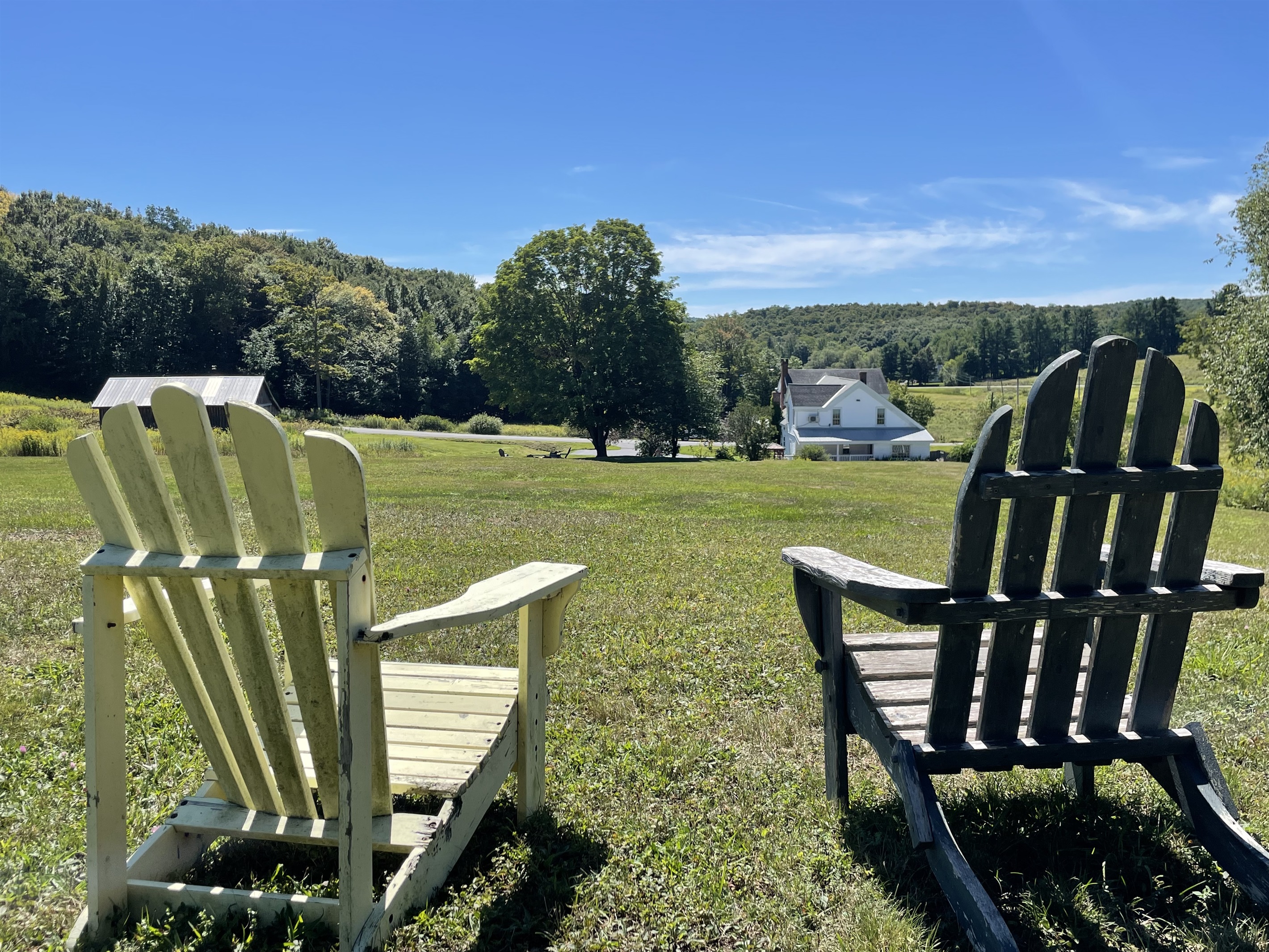 Back hill overlooking Peterson Place