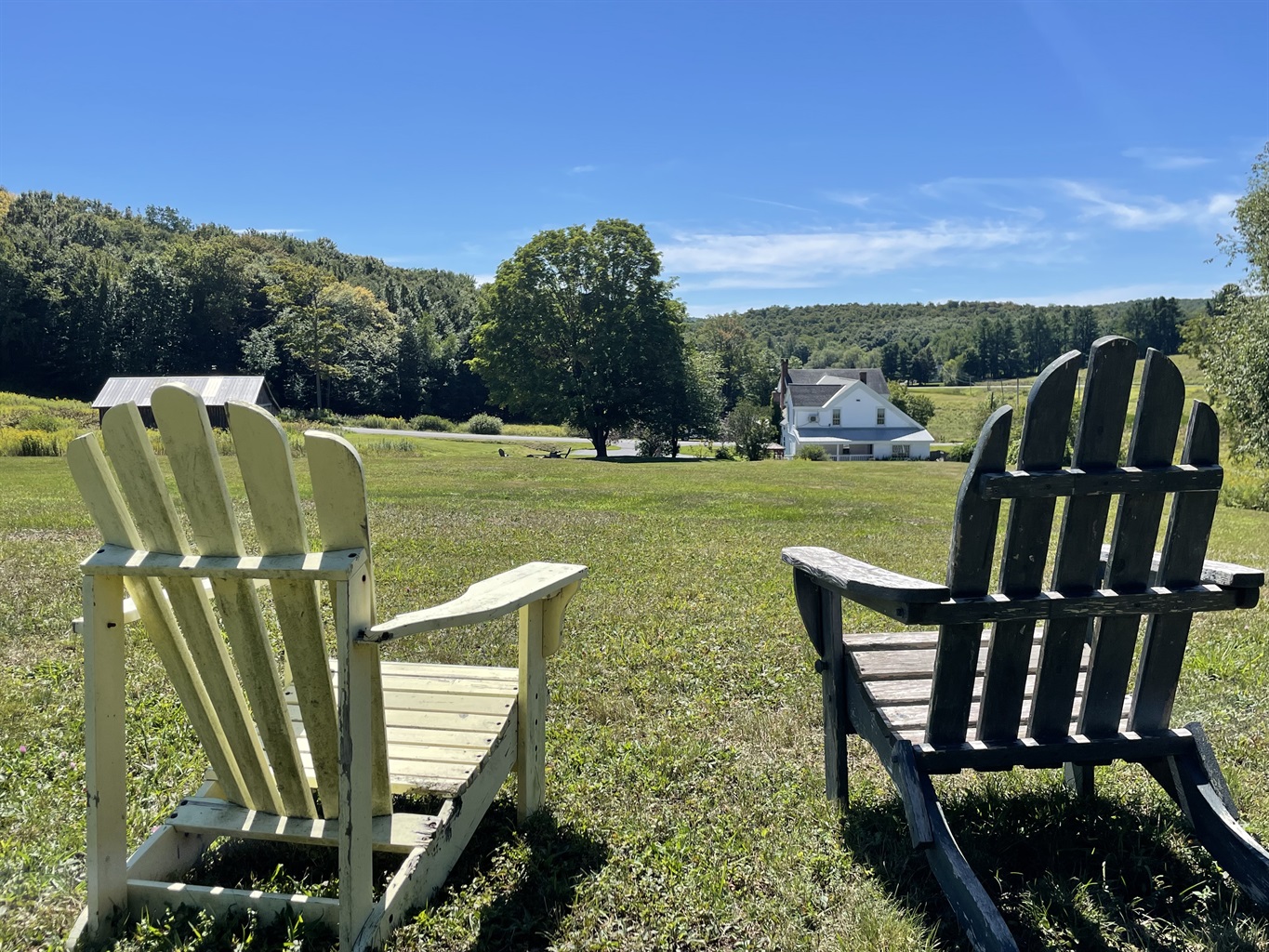 Back hill overlooking Peterson Place