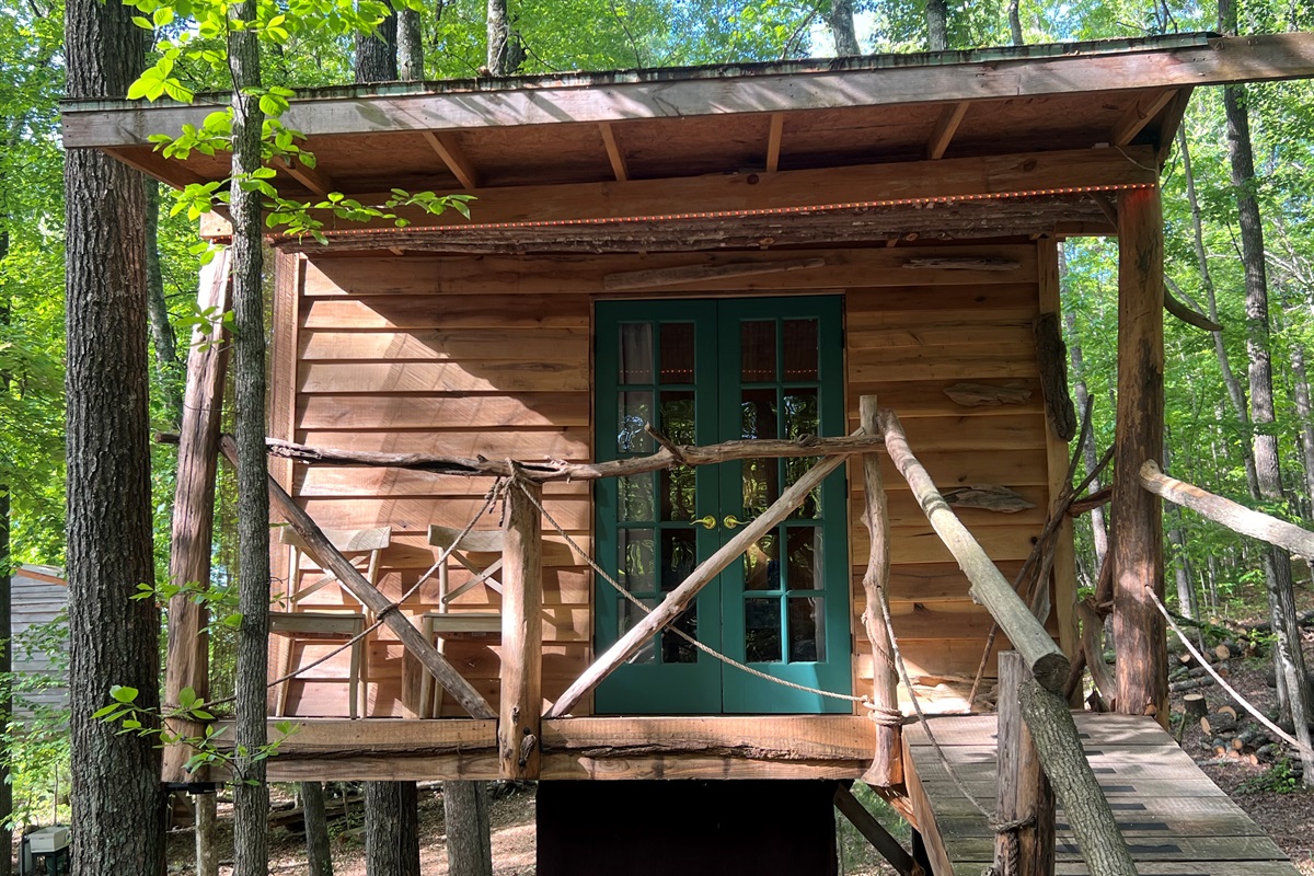 Morning light on the treehouse
