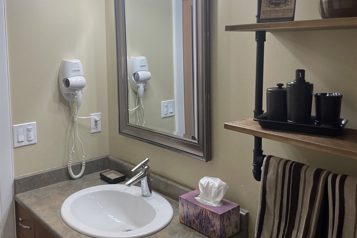 Hair dryer and supplies under sink.