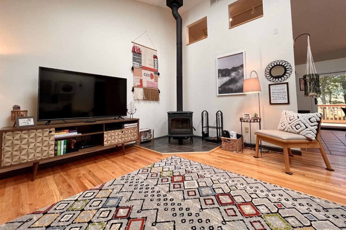 Large TV and woodstove