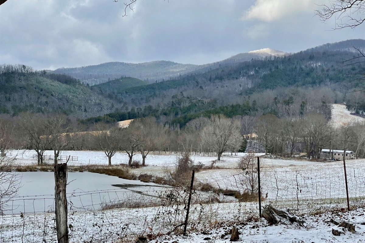 Backyard winter views