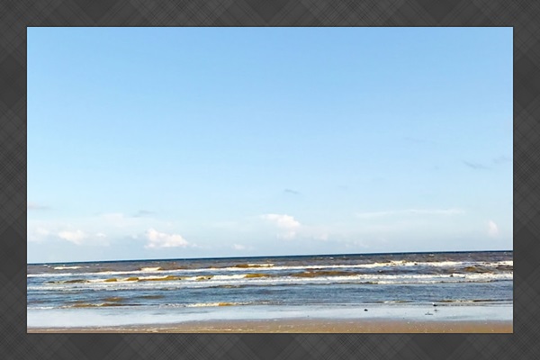 Sargent Beach! Take a walk or a drive! Great shells and fishing!