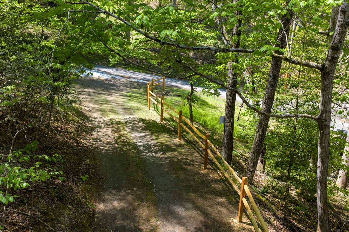 A quiet, tree-lined driveway adds to the peaceful, tucked-away feel of the property.