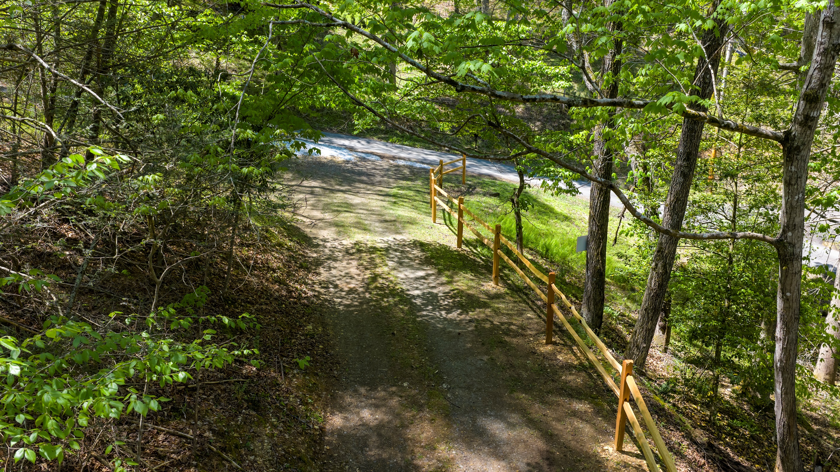 A quiet, tree-lined driveway adds to the peaceful, tucked-away feel of the property.
