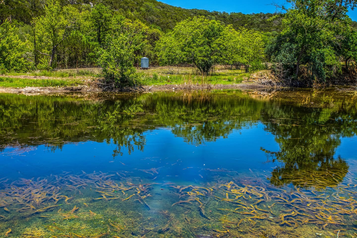 3H Ranch Mountain Retreat, Medina