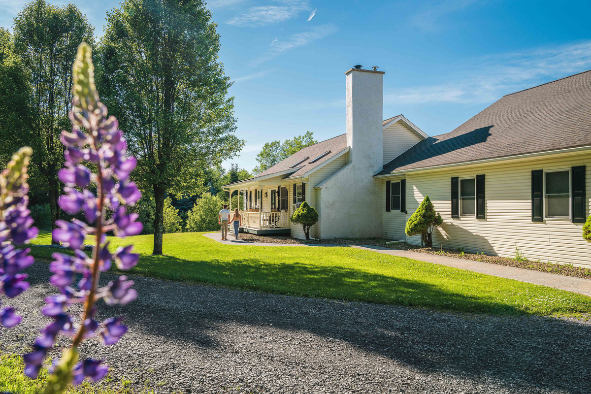 🌸 Spring lupines blooming along the side of the home.