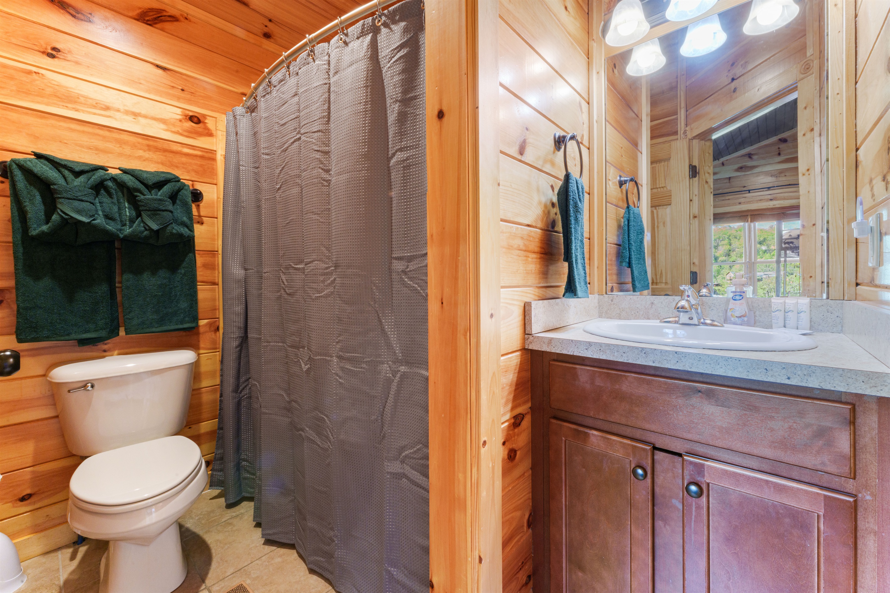 Full bathroom in The Den.