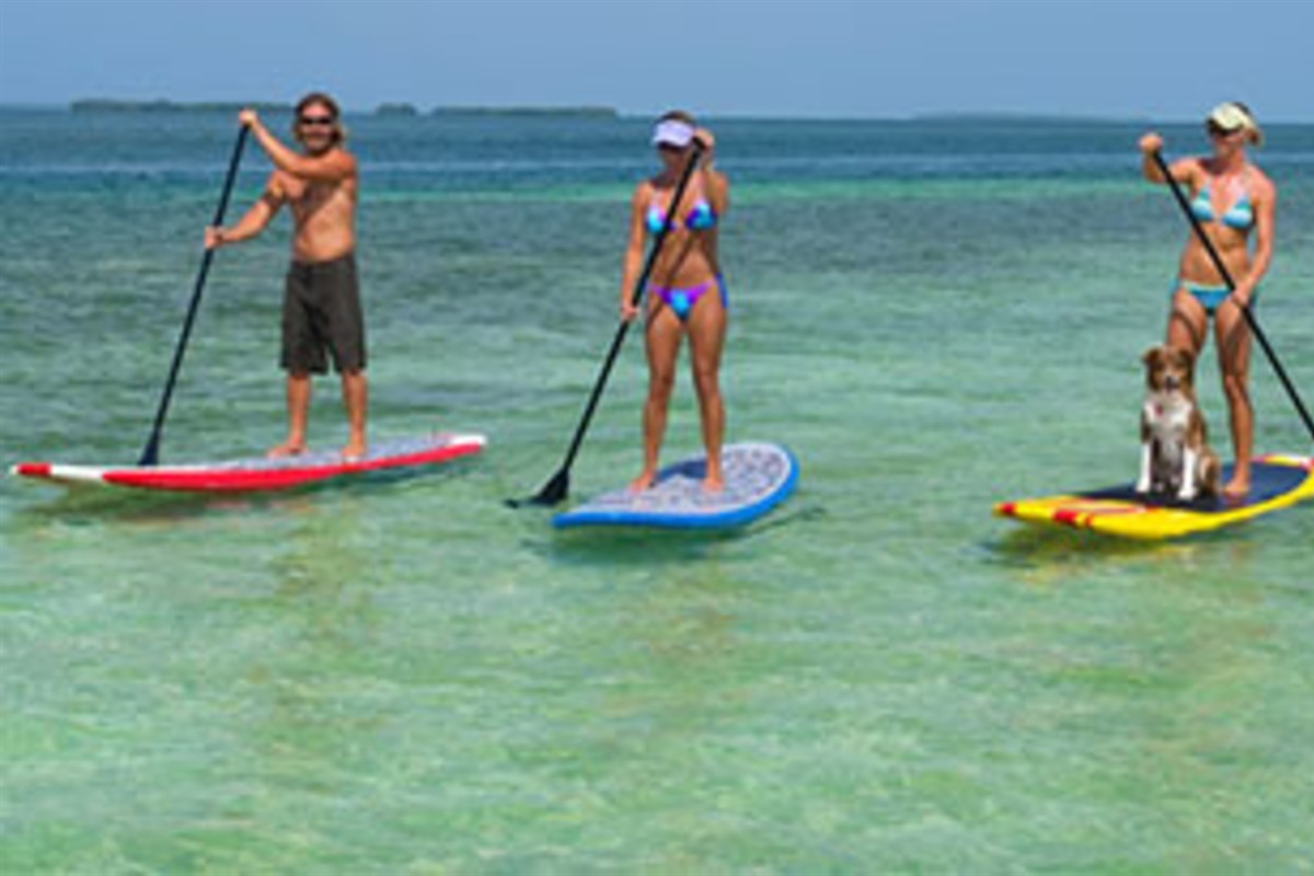 Enjoy Kayaking!