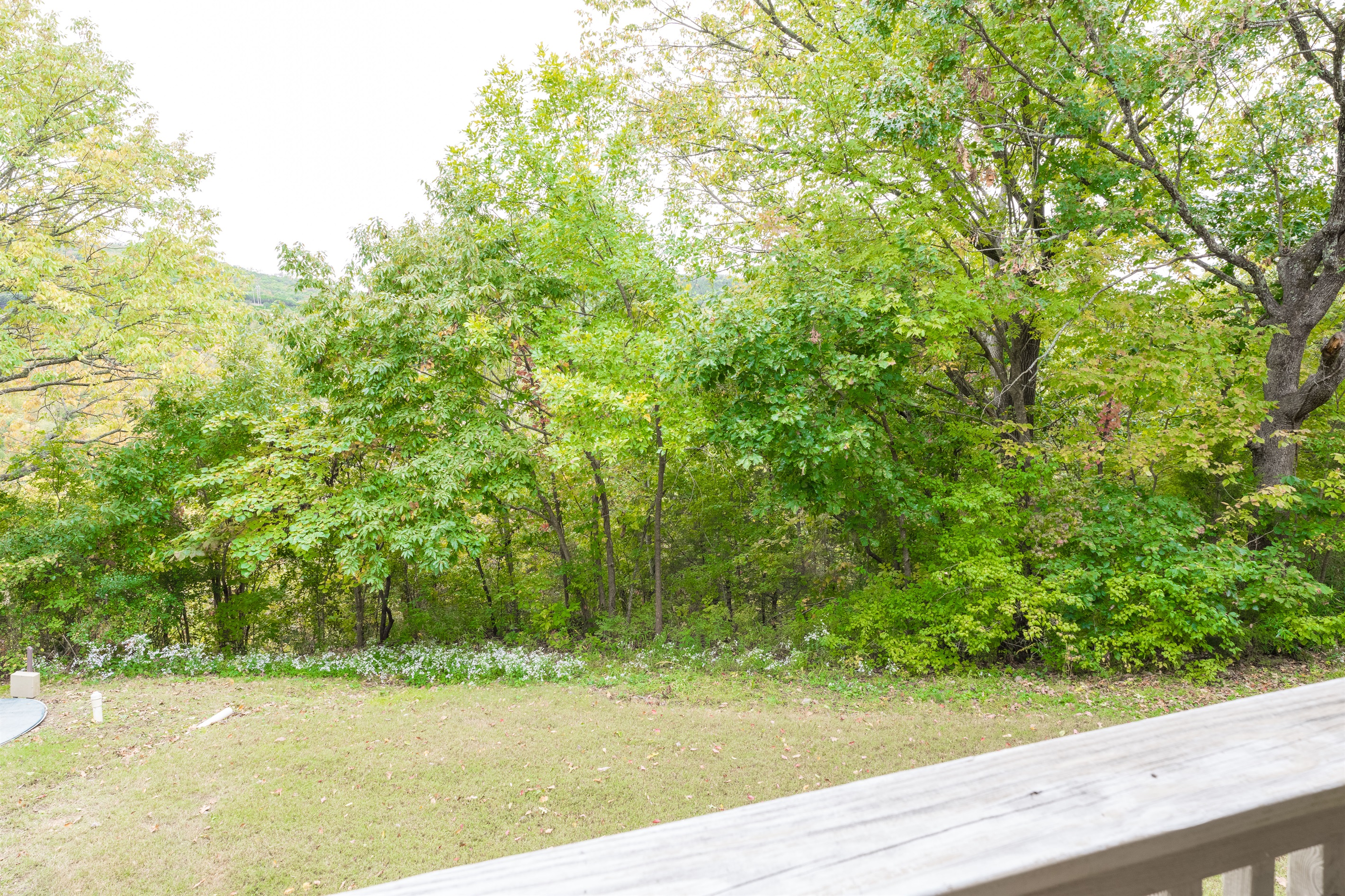 Peaceful outdoor space