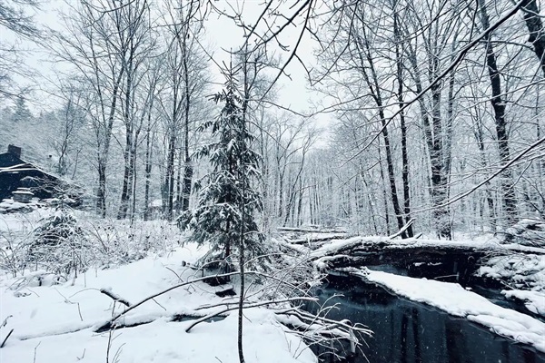 Hunter Brook in full winter glory on south border of  Spruceton Hollow.