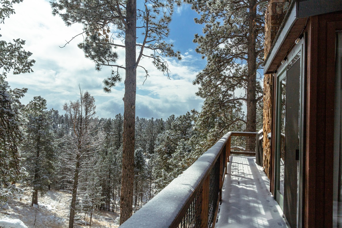 Outside Deck - Winter