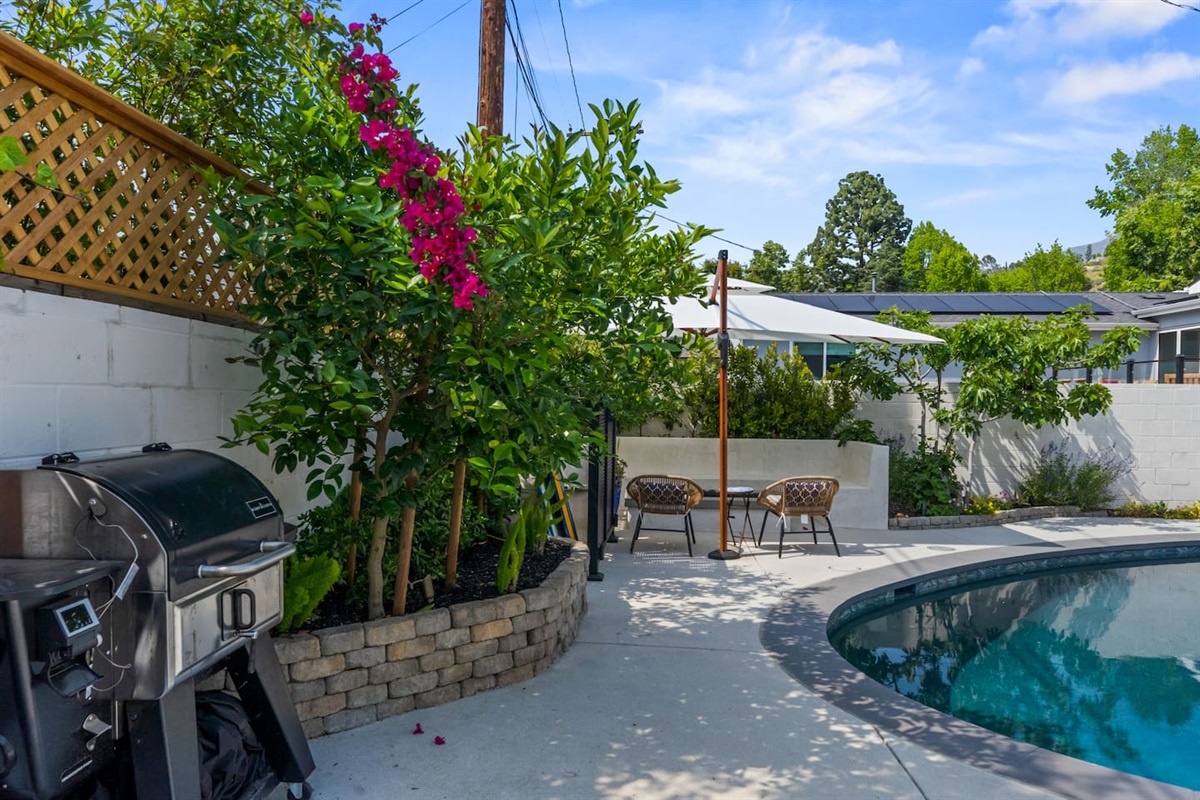 Sun, shade, and sizzling flavors—your backyard escape.