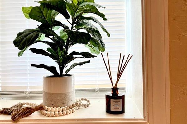 Bright window with a charming artificial plant, adding a touch of greenery to the space.