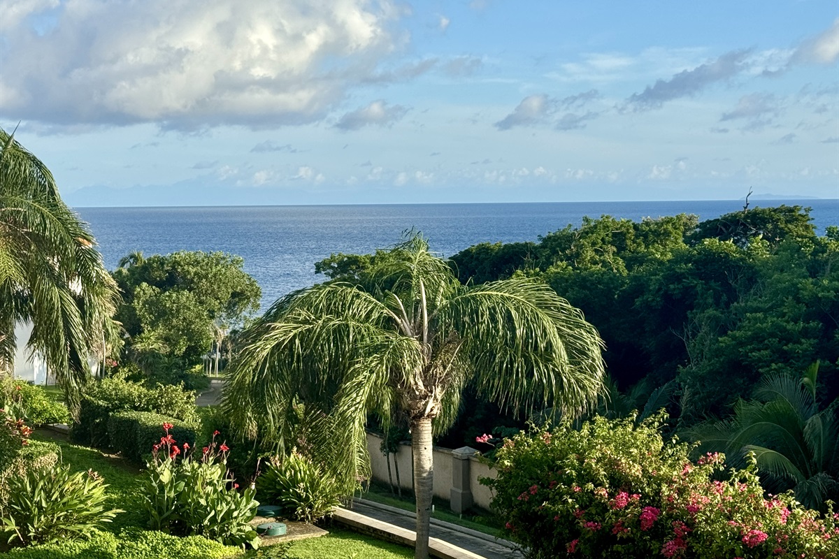 Great view that you will see the cruise ships as they come to dock at Roatan