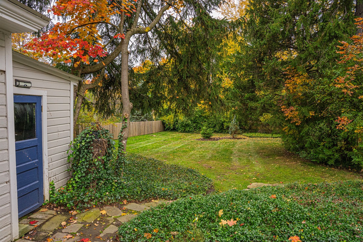 Extended Backyard Area