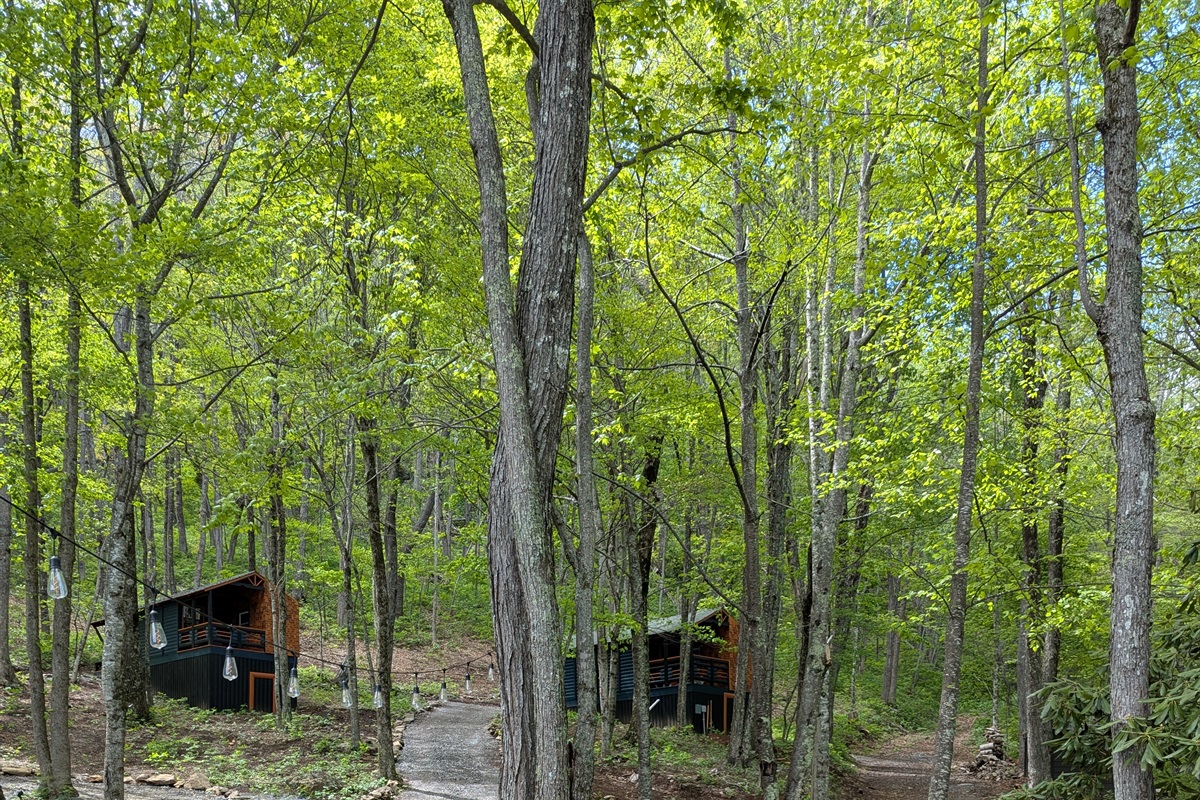 Community firepit and propane grill short walk from your cabin. Which is the last one on the left in this picture. 