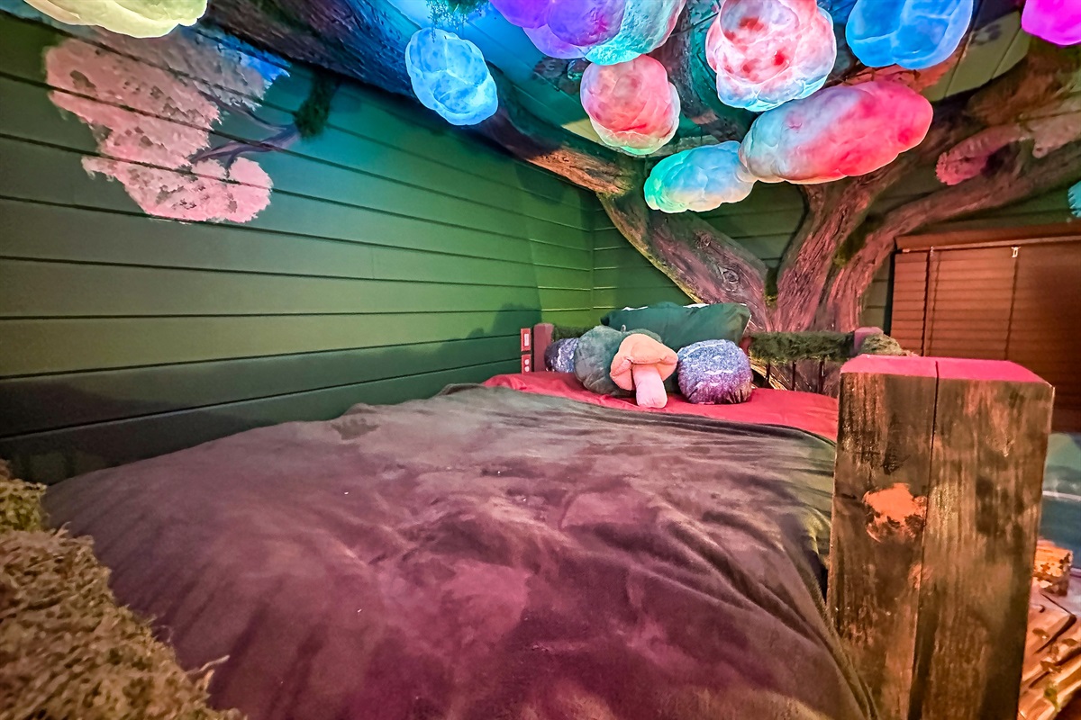 a view from the queen in the bunk room. Almost like the Northern Lights