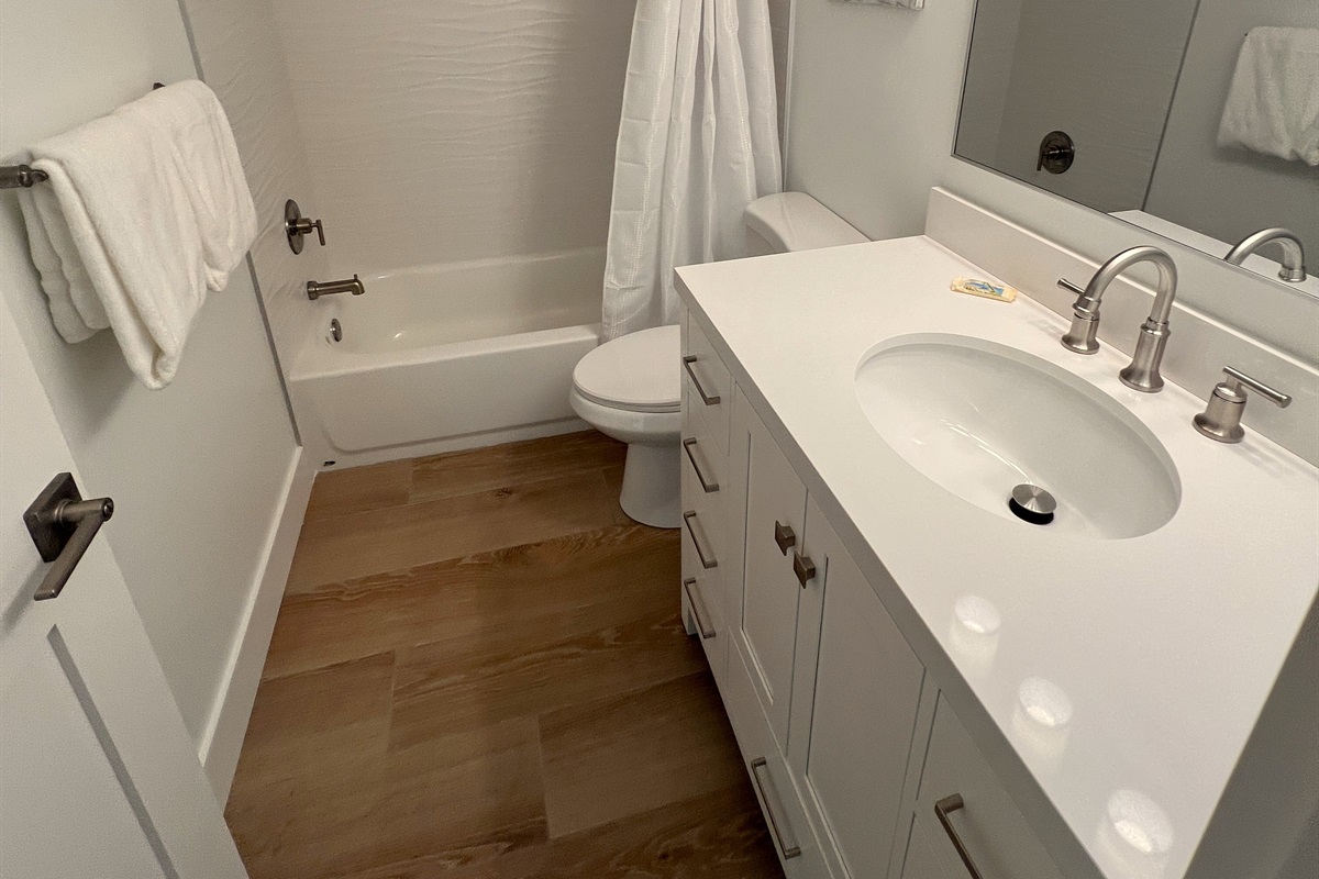 Guest bath with tub and shower