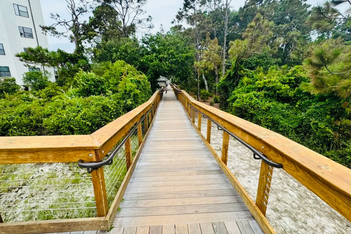 Boardwalk through the trees