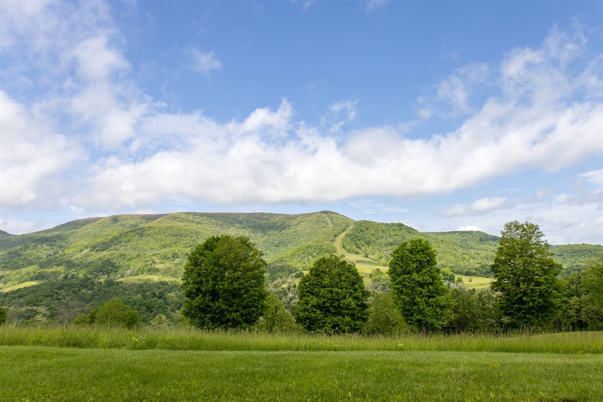 The view from your patio in the spring!