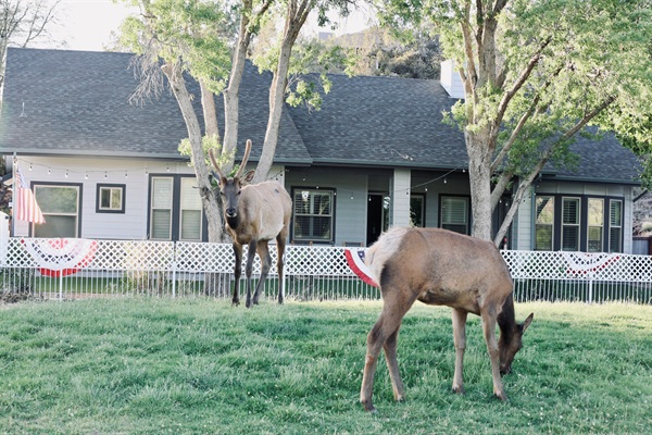 Location! Location! Location!