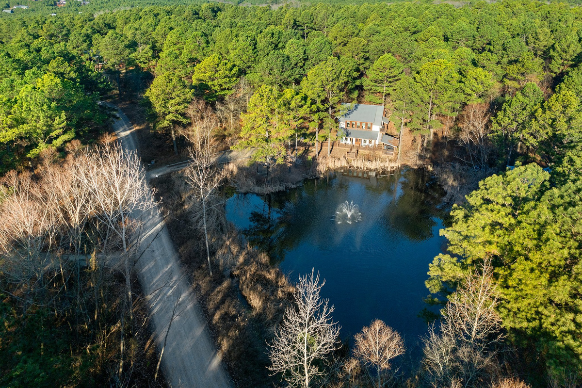 Pond view