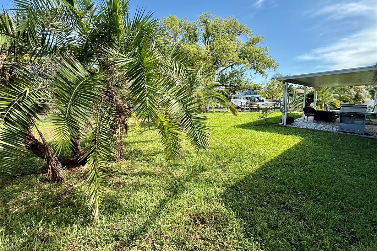 Relax along the waterfront and enjoy nature at its finest—spot birds, fish, and maybe even a dolphin or manatee from your own backyard.