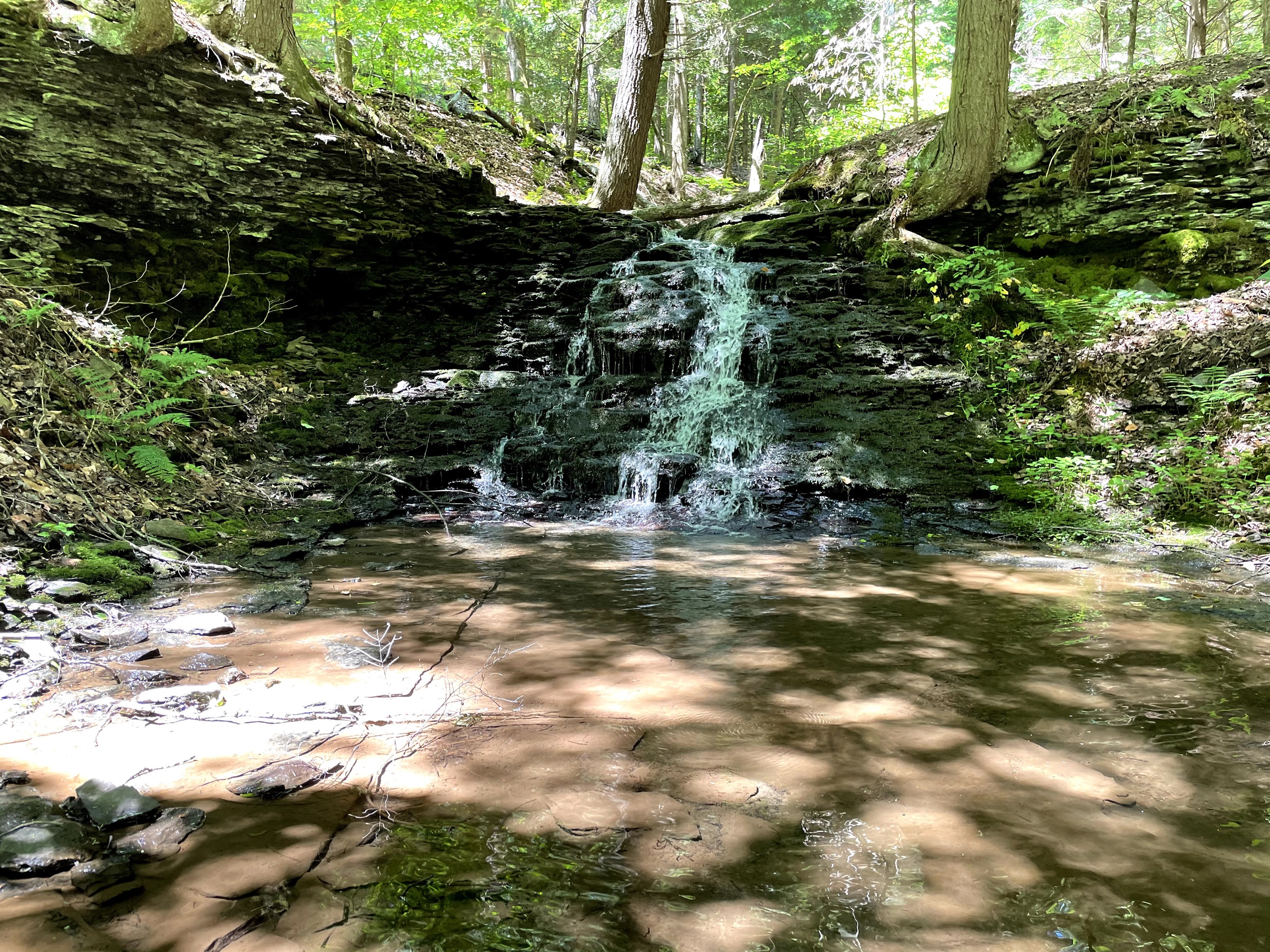 Skyview Acres waterfall.