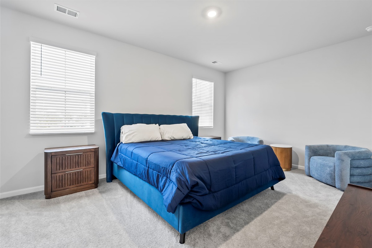 Master Bedroom with King bed, ensuite bathroom, walk in closet and Roku Smart TV