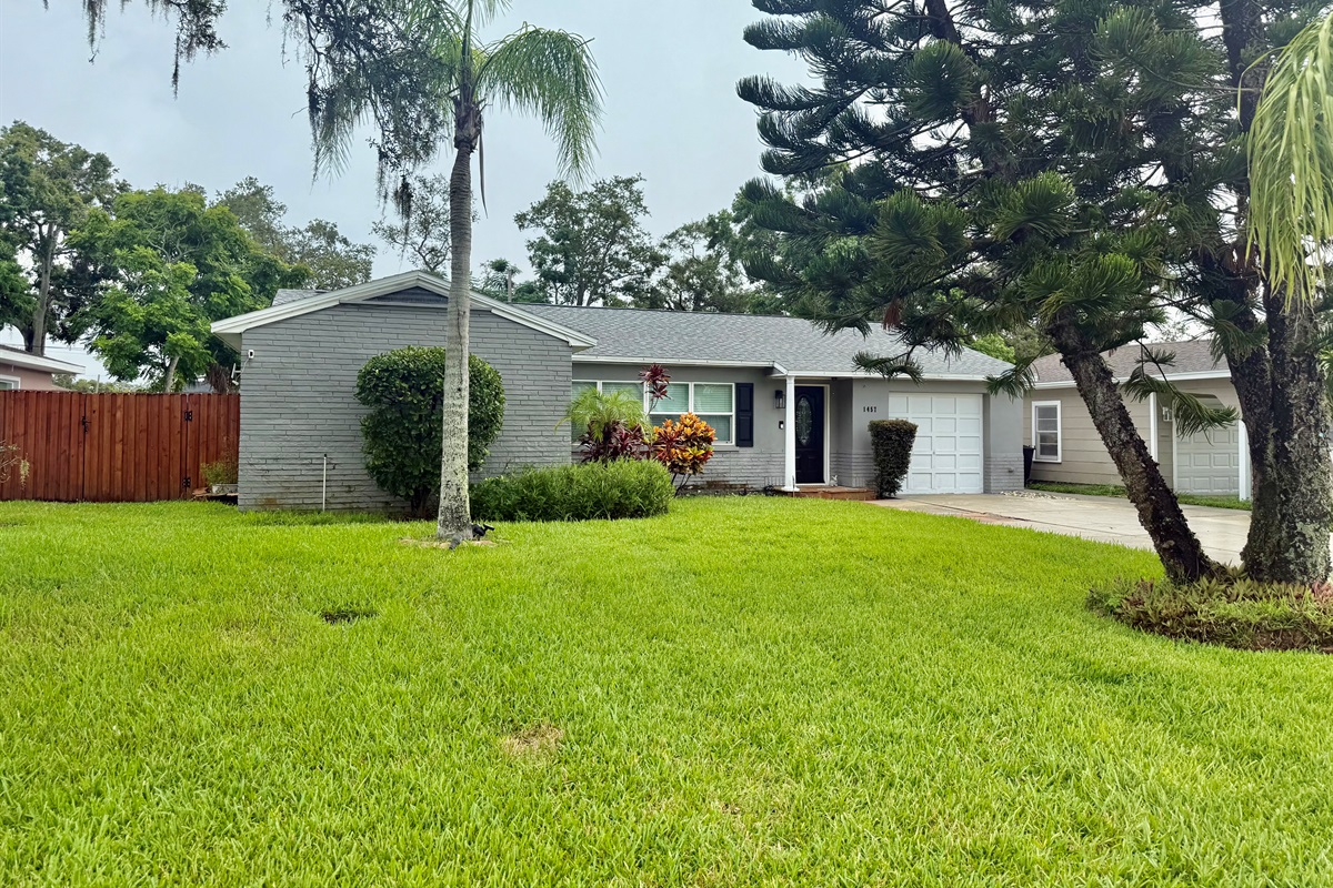 Front Yard
