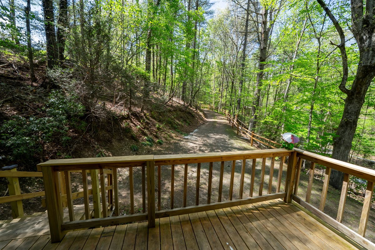 A simple spot to sit, relax, and enjoy the calm, wooded setting.
