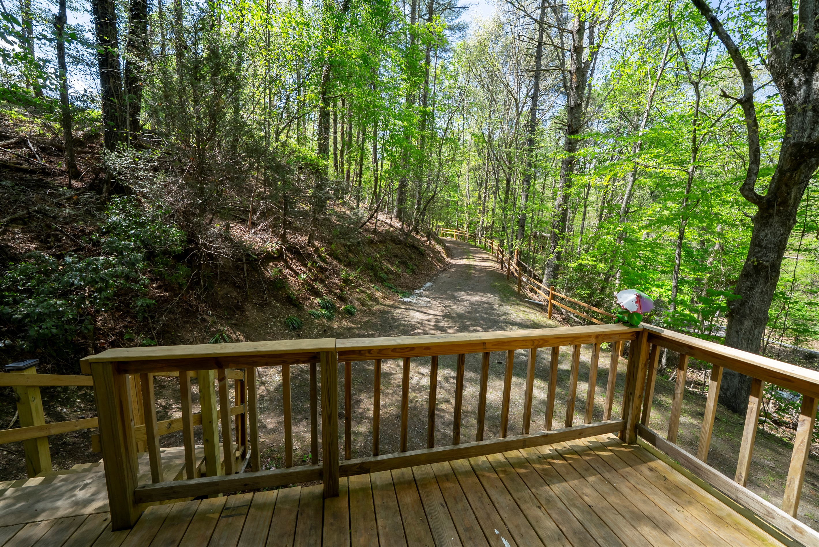 A simple spot to sit, relax, and enjoy the calm, wooded setting.