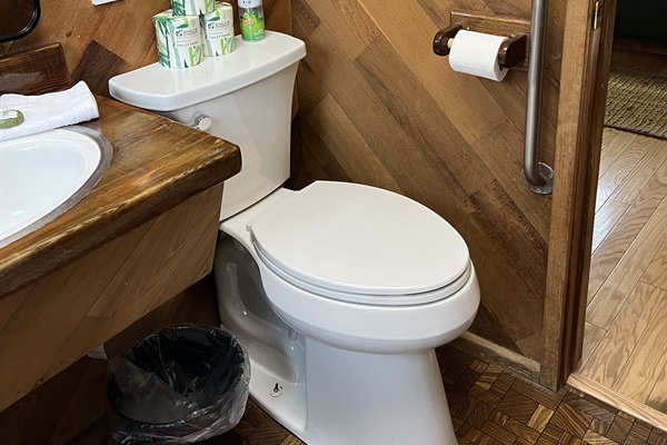 Downstairs bathroom has grab bar near the ADA compliant toilet