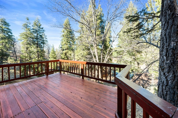 On the back deck outside of the living room