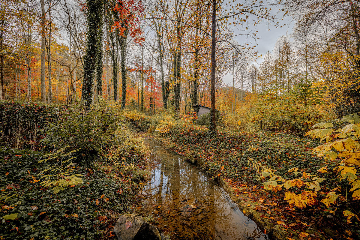 Enjoy quiet time beside the creek that runs through our property.