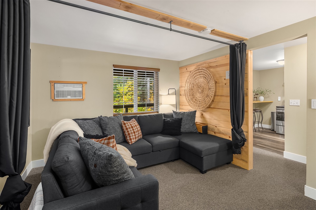 Lower TV room with full-sized pull-out couch, and curtains to provide additional privacy