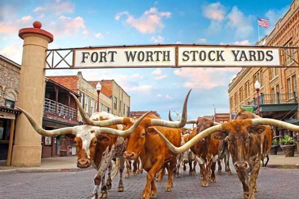 Fort Worth Stock Yards are nearby!