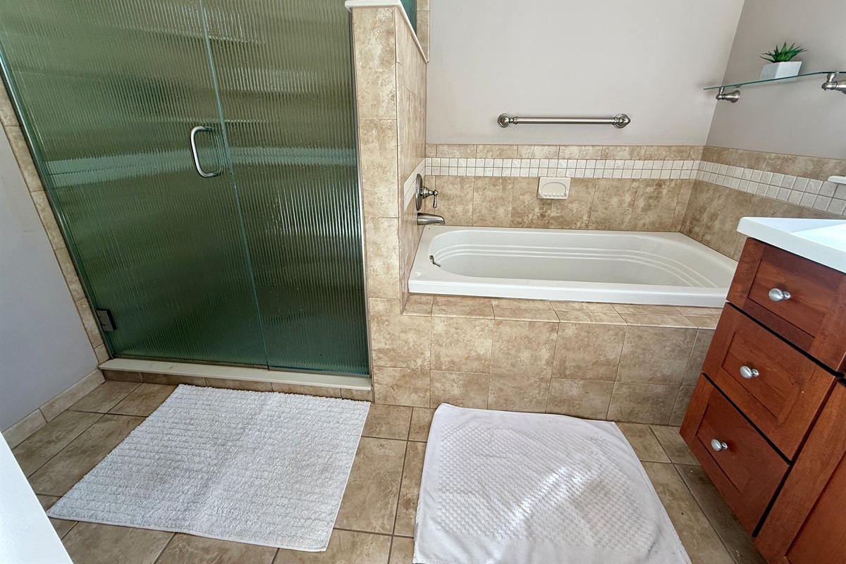 Shower and Bath in Master