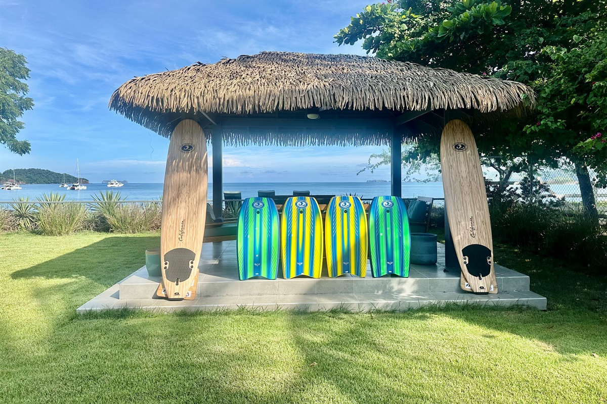 Surfboards and Boogie boards provided