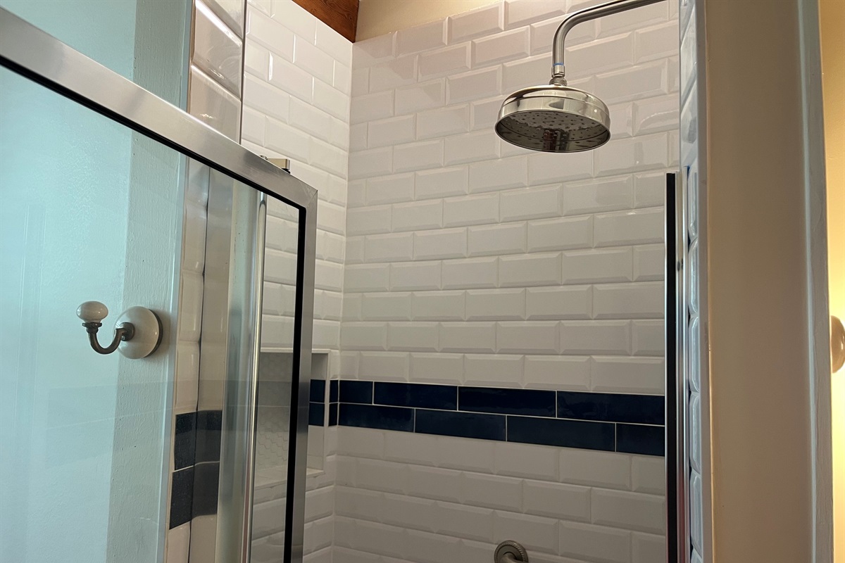 Shower in bathroom