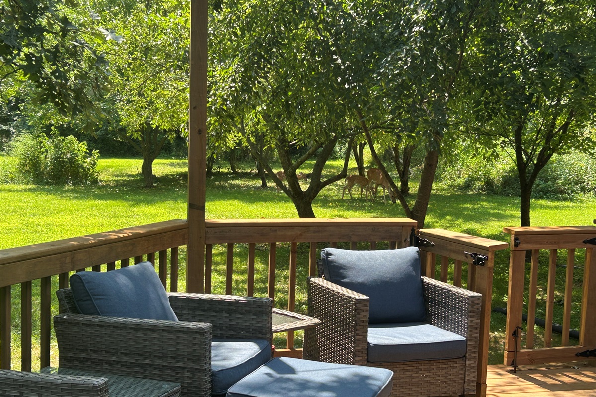 Sit on the deck or relax in the hot tub and watch for the deer to come by.