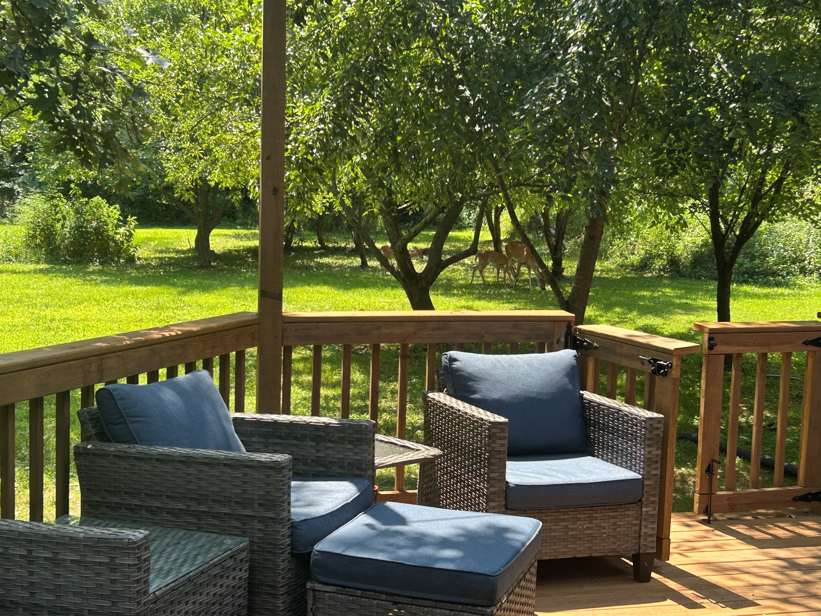 Sit on the deck or relax in the hot tub and watch for the deer to come by.
