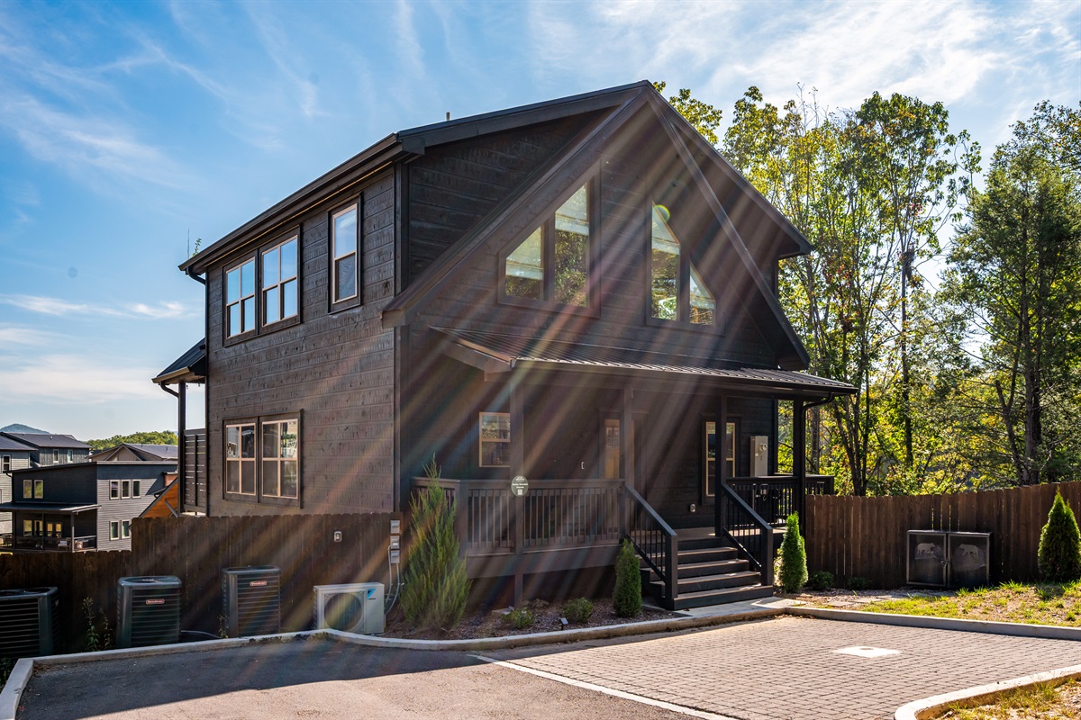 Smoky Mountain Sequoia