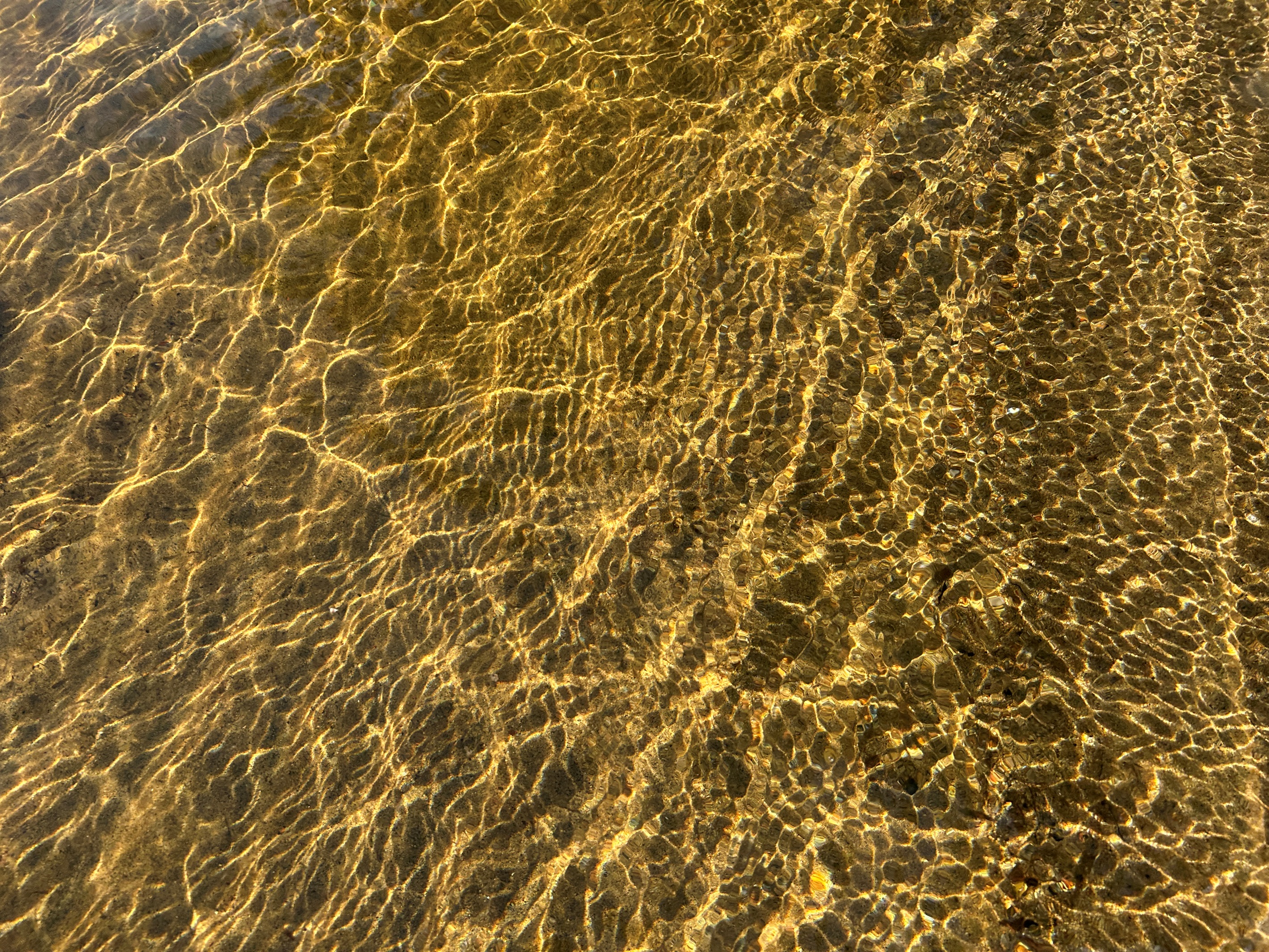 Beach at Tom and Mike Murray Park-10min drive