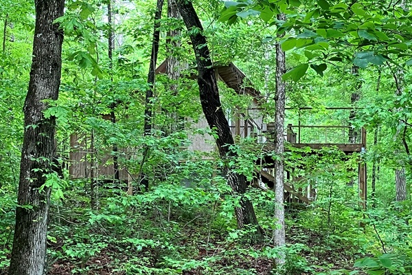 From just behind the cabin.