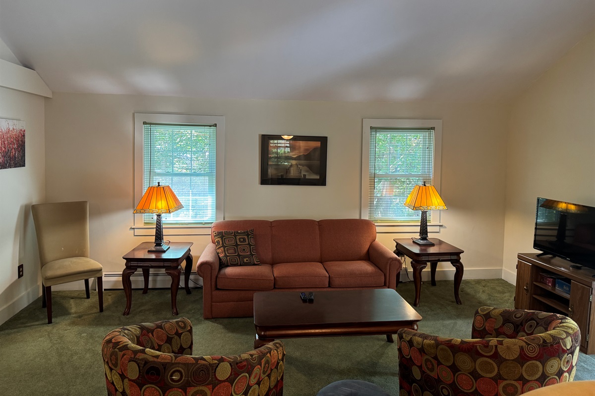 Dandelion apartment living room.